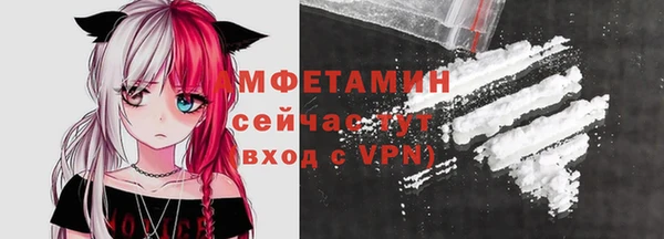 прущие грибы Беломорск