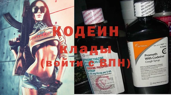 прущие грибы Беломорск