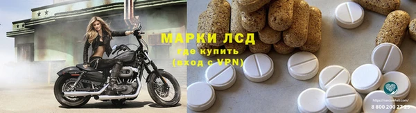 прущие грибы Беломорск