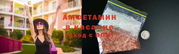 прущие грибы Беломорск