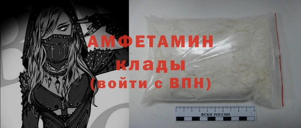 прущие грибы Беломорск
