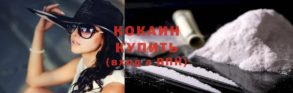 прущие грибы Беломорск