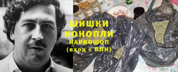 прущие грибы Беломорск