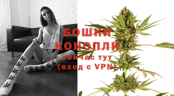 мяу мяу мука Болхов