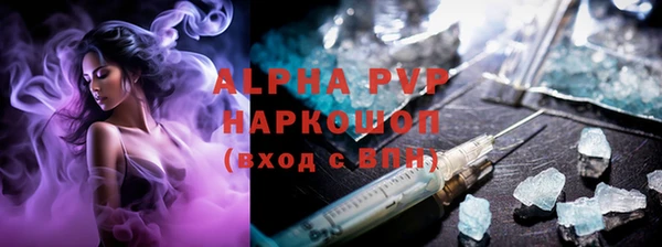 прущие грибы Беломорск